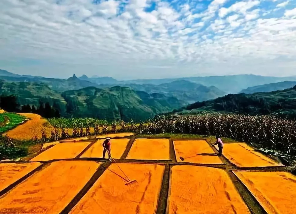 農(nóng)村宅基地政策變化，一塊宅基地不同補(bǔ)償方式！